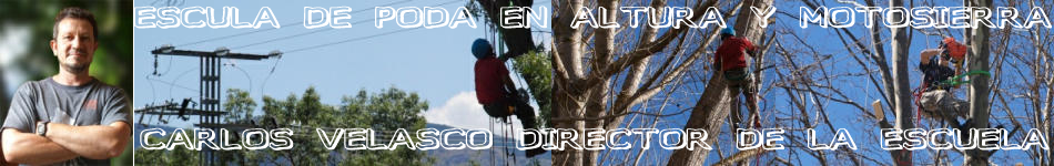 Cursos de poda en altural y motosierra en Espa&ntilde;a. Madrid