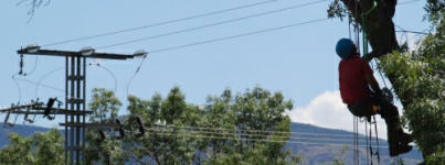 Escuela Espa&ntilde;ola de Poda en altura