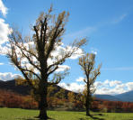 Muy cerca de la ermita
