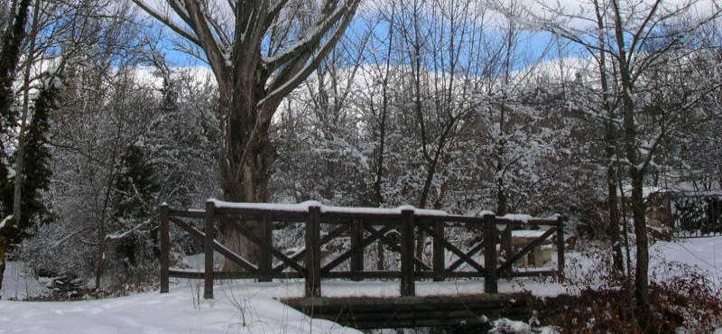 EN TODAS LAS ESTACIONES