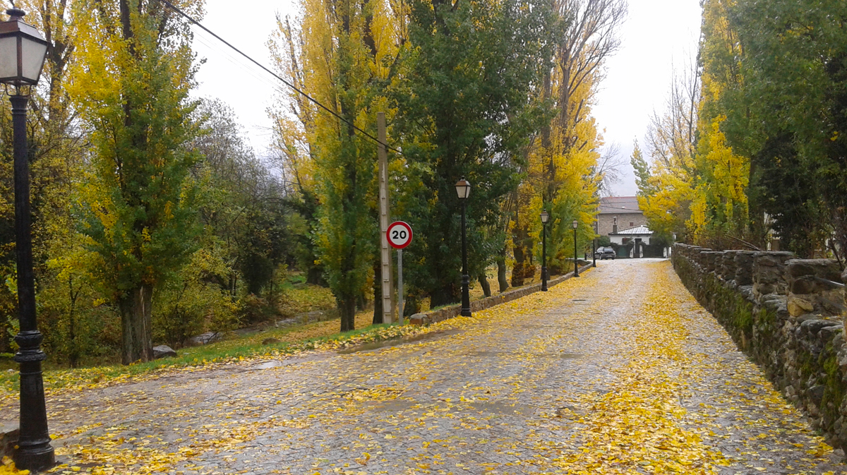 Rutas y paseos por Alameda del Valle